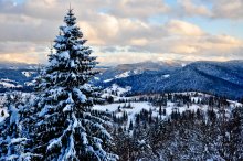 Blick vom Mount Trostyan / ***
