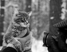 Schwerer werktags Modell / *****