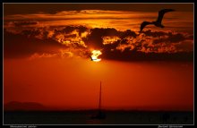 Venezianische Sonnenuntergänge / ***