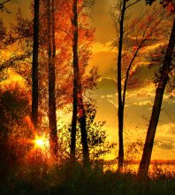 Autumn Sunset / ***