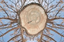 Durch die Augen des Stumpfes - Parting / ***