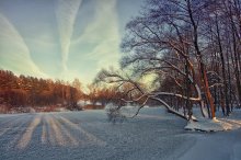 Die Januar-Rückgang / ***