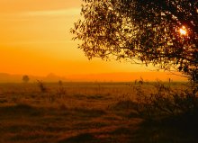 Morgensonnenlicht des Tages / ***