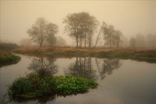 Misty Morning / -----------