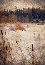 Das Haus meiner Kindheit / ***