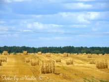 Herbst / ***