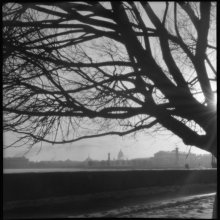 Pfeil / ***