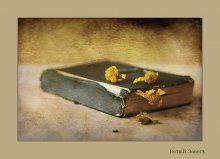 Altes Testament / ***