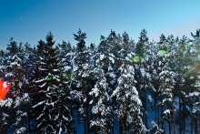 Winter-und Hasen / ***
