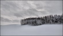 Gloomy Morgen / ***