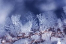 just snow / ***
