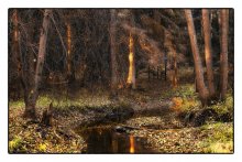 Waldbach / ***