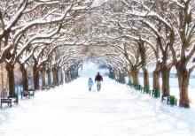 Winter / Winter