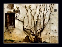 Casa № 4 / ***