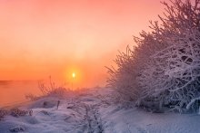 Frosty Februar Morgen zwei / ***