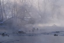 Morgen Nebel / ***