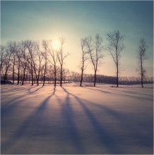 Lange Schatten im Februar / ******