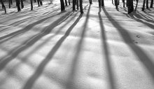 Licht und Schatten / ***