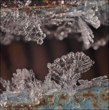 Galerie ... / ***