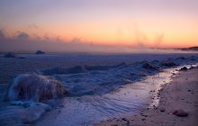 Before the Dawn / ***