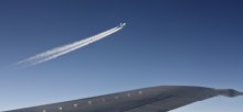 Belavia / ***