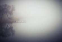 Fog / FogFog
