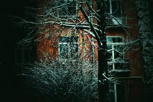 Fenster des Hauses / ***