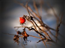 Februar Skizzen / *****