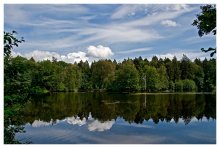 Forest Lake (2) / *****