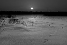 Boote ... / ***