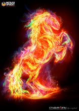 Geboren am Feuer / ***
