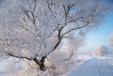 Winter in seiner Gestalt / ......