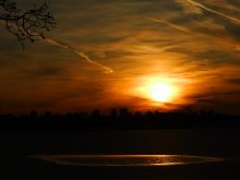 Sonnenuntergang mit Wermut / ***
