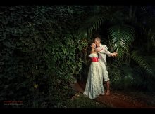 WEDDING STORY / ***