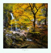Saftige Herbst / *******