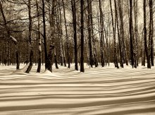 Shadow Lines / ***