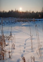 Der Lauf der Sonne :) / ***