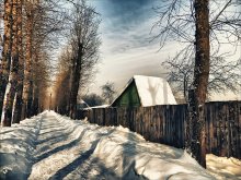 Graupappel Winter ... / ***