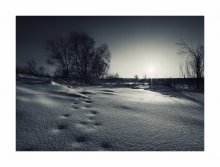 Winter / ***