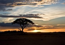 Africa / Kenya