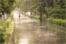 Sommer regen / ***