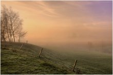 Dawn. / A foggy morning.