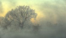 Dawn Ghost / ***