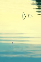 Dialogues about fishing II / *************
