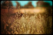  / Minsk'11