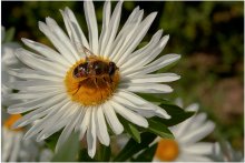 Ewige Worker / ***