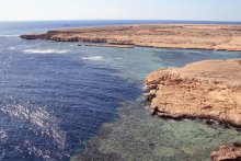Coral Island. / ***