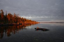 Insel / ***
