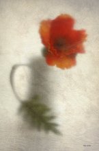 Mit Mohn / ...............................
