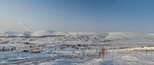 Weiten der Tundra! / ***
